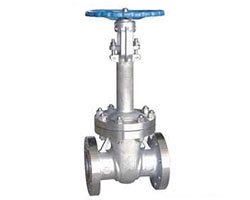 Cryogenic Gate Valves Suppliers Manufacturer India
