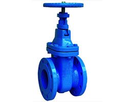DIN Standard Gate Valves Suppliers Manufacturer India