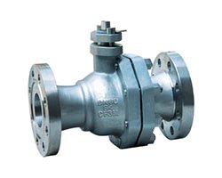 Split Body Ball Valves Suppliers Manufacturer India