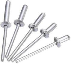 UNS S32205 Rivets