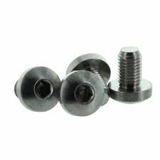 SS 310 Screws Manufacturer in India