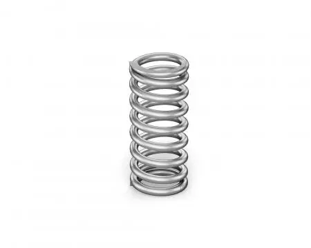 Stainless Steel 316 Springs