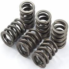 SS 321 Springs Manufacturer in India
